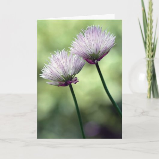 俺の中に得友達がいる… カード (正面)