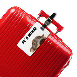 俺の物だ！犬の覗き写真 ラゲッジタグ