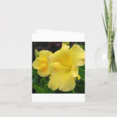 俺の花嫁の付き添いは？ 招待状 (裏面)