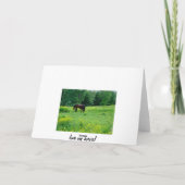 俺の馬を愛せよ!カード カード (裏面)