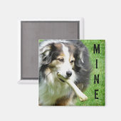 俺の!オーストラリアの羊飼い磁石 マグネット (正面/裏面)