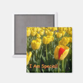 俺はスペシャル！マグネット マグネット (正面/裏面)