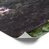 俺はダッキー(アヒルちゃん)だ!ポスター–36x24 – その他のサイズも ポスター (角)