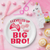 「俺はビッグ・ブロにレベル下げしたんだ！ ペーパープレート (パーティー)