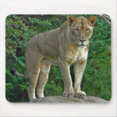 俺は女だ！ マウスパッド (正面)