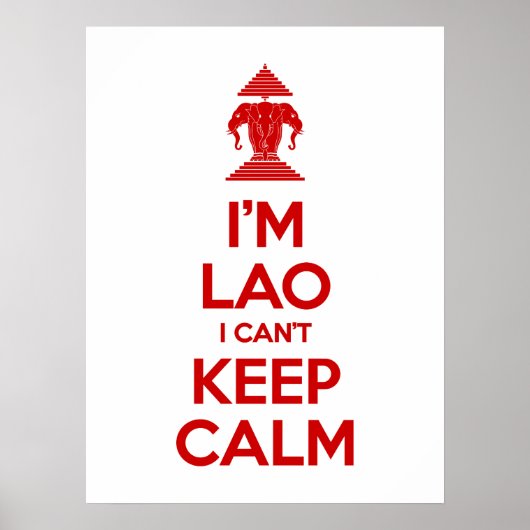 俺は落ち着けな保い ポスター (正面)