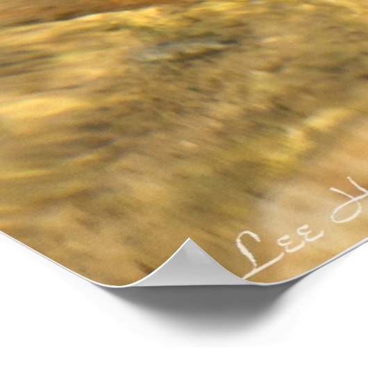 俺を見てるのか？アメリカのブルカエルのポスター ポスター (角)