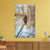 俺を見てるのか？ キャンバスプリント (インサイチュ (リビング))