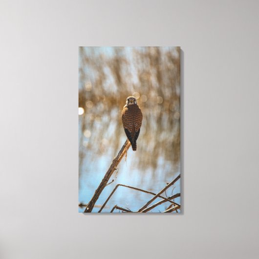 俺を見てるのか？ キャンバスプリント (正面)