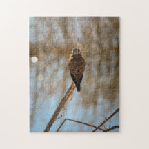 俺を見てるのか？