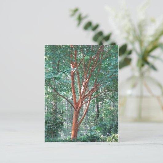 個々のはがき ポストカード (スタンド正面)