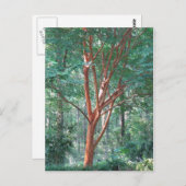 個々のはがき ポストカード (正面/裏面)