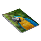 _個のオウム帳 ノートブック (右側)