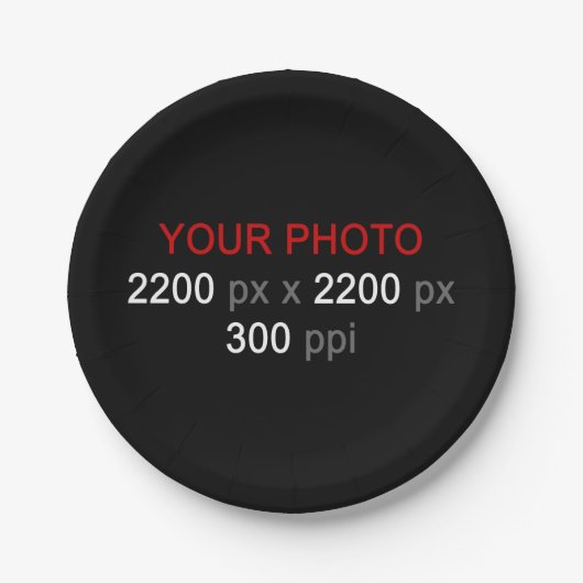 個人の作成 ペーパープレート (正面)