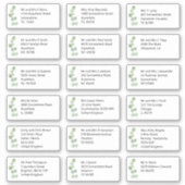 個人の結婚ゲスト名アドレスEucalyptus シール (正面)