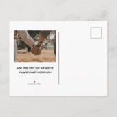 個人メモ写真はがきを保存する 案内ポストカード (裏面)