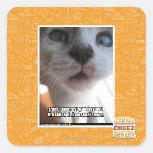 個人宇宙 スクエアシール