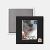 個人宇宙 マグネット (正面/裏面)