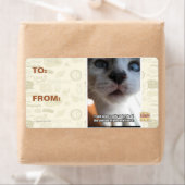 個人宇宙 ラベル (インサイチュ)