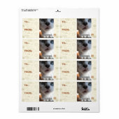 個人宇宙 ラベル (フルシート)