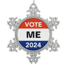 個人投票2024年大統領の選挙運動