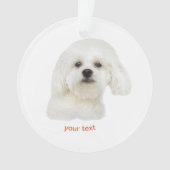 個人用マルチーズ子犬 オーナメント (正面)