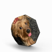 個人用家族ペット結婚のベビー休暇 フォトブロック (右)