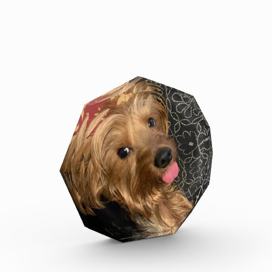 個人用家族ペット結婚のベビー休暇 フォトブロック (左)