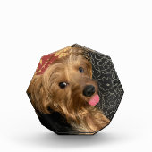 個人用家族ペット結婚のベビー休暇 フォトブロック (正面)