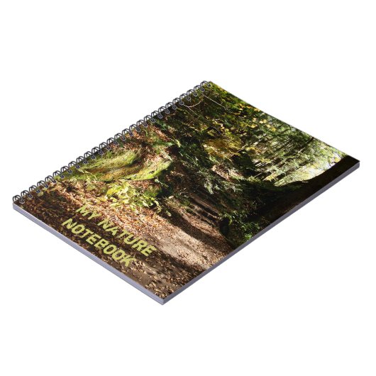 個人用自然ノートブック ノートブック (左側)