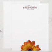 個人的な明るいオレンジガーベラのデイジーの花の開花 レターヘッド (正面/裏面)