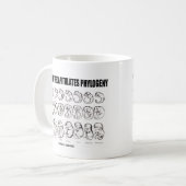 個体発生は要約します系統発生(生物学)を コーヒーマグカップ (正面左)