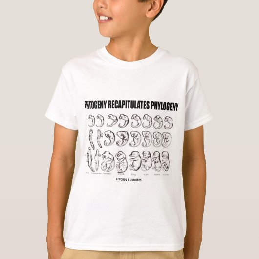 個体発生は要約します系統発生(生物学)を Tシャツ (正面)