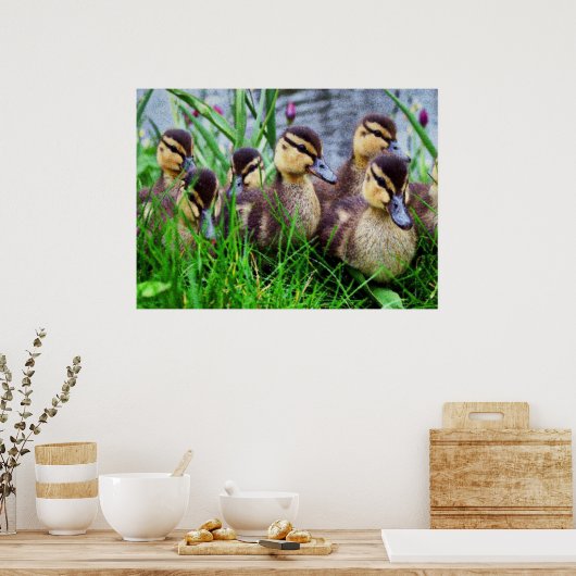 個別効果の鳥11 ポスター (キッチン)