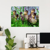 個別効果バード11 ぼやけ ポスター (ホームオフィス)