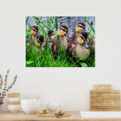 個別効果バード11 ぼやけ ポスター (キッチン)