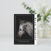 "個性" – 野生のスペインの口ひげ ポストカード (スタンド正面)