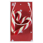 個.杖 スモールペーパーバッグ (裏面)