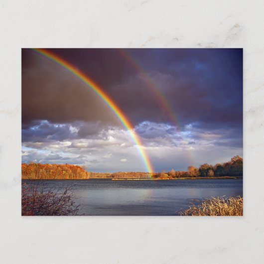 倍の弓 ポストカード (正面)