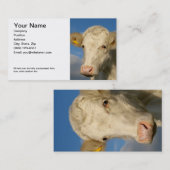 倍はカード農業味方しました 名刺 (正面/裏面)