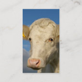 倍はカード農業味方しました 名刺 (裏面)