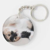 倍はキーホルダー猫の写真の味方しました キーホルダー (裏面)