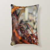 倍は枕ヤドカリの味方しました アクセントクッション (正面(垂直))