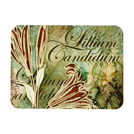 候補リリウム マグネット (横)