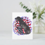 偉大なダネパトリオ ポストカード (スタンド正面)