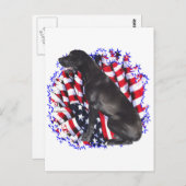 偉大なダネパトリオ ポストカード (正面/裏面)