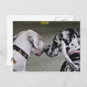 偉大なダネ最高のの友達 ポストカード (正面/裏面)