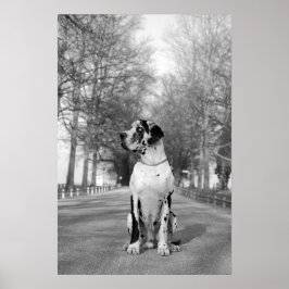 偉大なダンのポスター ポスター