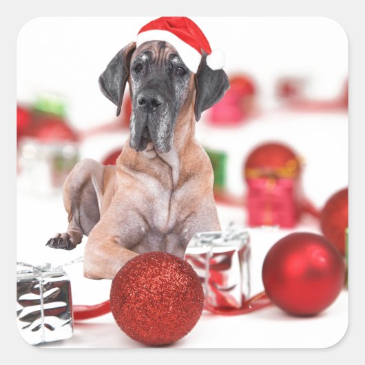 偉大なダン犬とクリスマスオーナメントの贈り物 スクエアシール (正面)