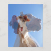 偉大なドッグトレーナー チラシ (裏面)